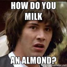 AlmondMilk